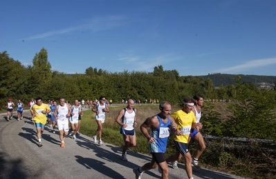 Premi per vedere l'immagine alla massima grandezza