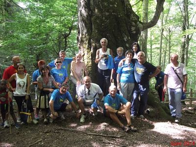 Premi per vedere l'immagine alla massima grandezza