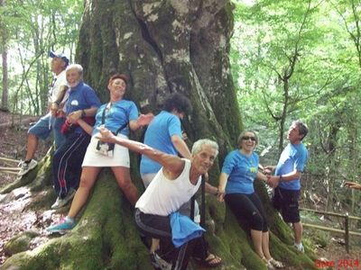 Premi per vedere l'immagine alla massima grandezza