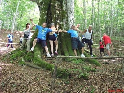 Premi per vedere l'immagine alla massima grandezza