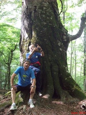 Premi per vedere l'immagine alla massima grandezza