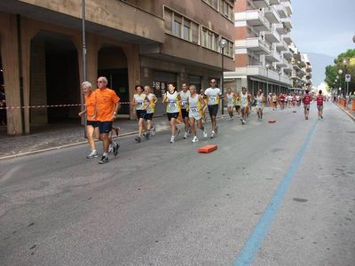 Premi per vedere l'immagine alla massima grandezza