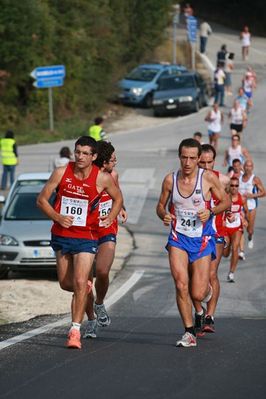 Premi per vedere l'immagine alla massima grandezza