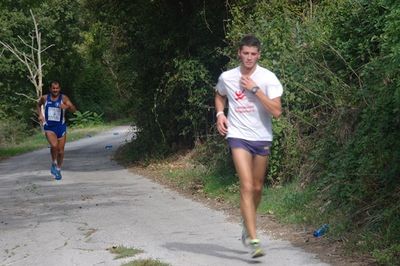 Premi per vedere l'immagine alla massima grandezza