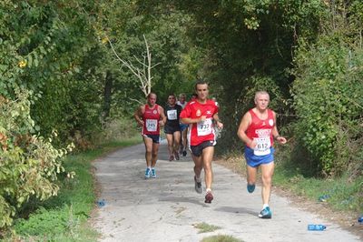 Premi per vedere l'immagine alla massima grandezza