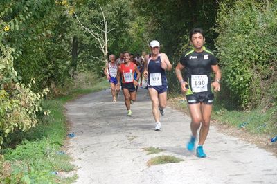 Premi per vedere l'immagine alla massima grandezza