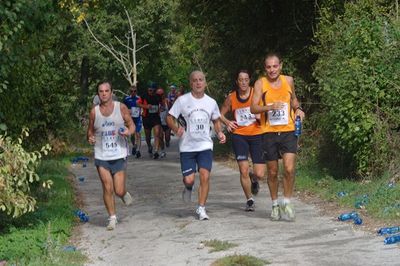 Premi per vedere l'immagine alla massima grandezza