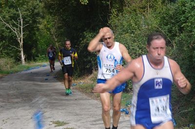 Premi per vedere l'immagine alla massima grandezza