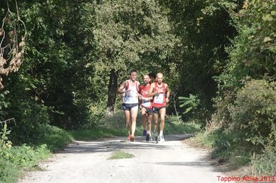 Premi per vedere l'immagine alla massima grandezza