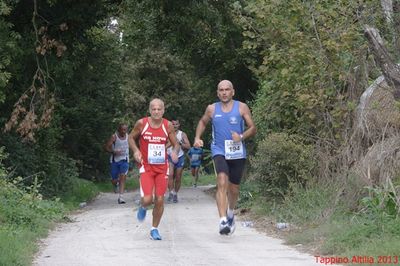 Premi per vedere l'immagine alla massima grandezza