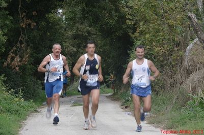 Premi per vedere l'immagine alla massima grandezza