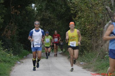 Premi per vedere l'immagine alla massima grandezza