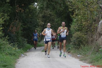 Premi per vedere l'immagine alla massima grandezza