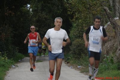 Premi per vedere l'immagine alla massima grandezza