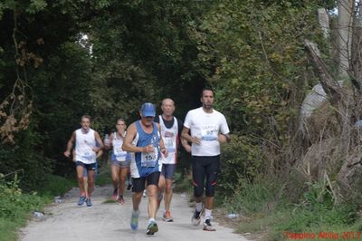 Premi per vedere l'immagine alla massima grandezza