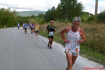 Premi per vedere l'immagine alla massima grandezza