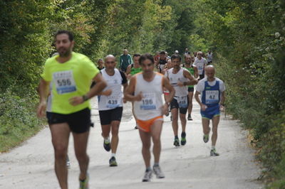 Premi per vedere l'immagine alla massima grandezza