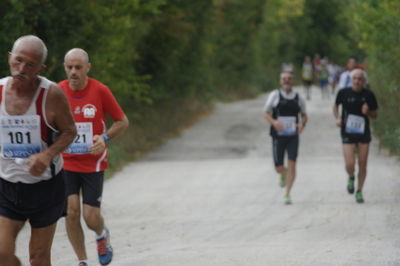 Premi per vedere l'immagine alla massima grandezza