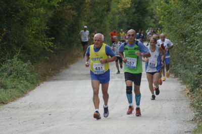 Premi per vedere l'immagine alla massima grandezza