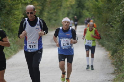 Premi per vedere l'immagine alla massima grandezza