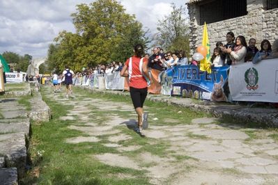 Premi per vedere l'immagine alla massima grandezza