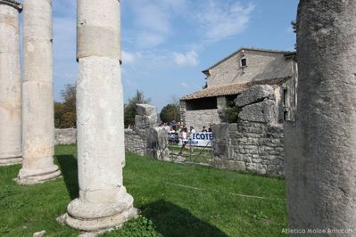 Premi per vedere l'immagine alla massima grandezza