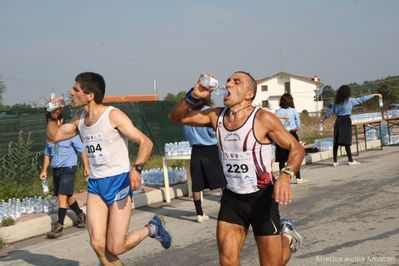 Premi per vedere l'immagine alla massima grandezza