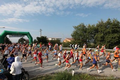 Premi per vedere l'immagine alla massima grandezza