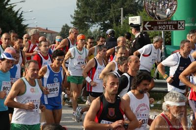 Premi per vedere l'immagine alla massima grandezza