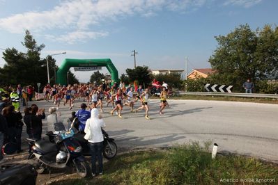 Premi per vedere l'immagine alla massima grandezza