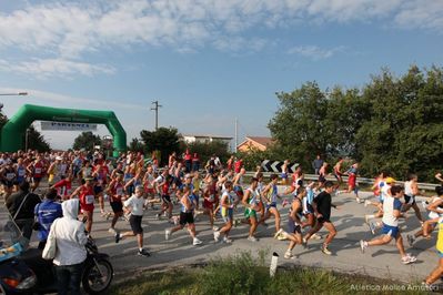 Premi per vedere l'immagine alla massima grandezza