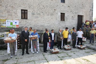 Premi per vedere l'immagine alla massima grandezza