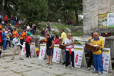 Premi per vedere l'immagine alla massima grandezza