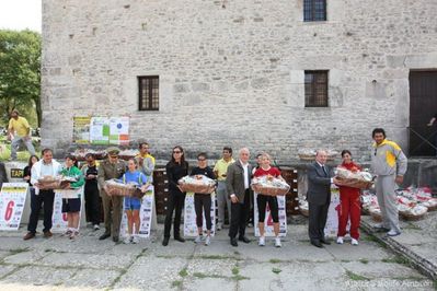 Premi per vedere l'immagine alla massima grandezza