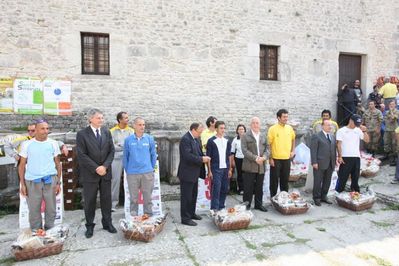 Premi per vedere l'immagine alla massima grandezza