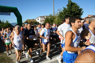 Premi per vedere l'immagine alla massima grandezza